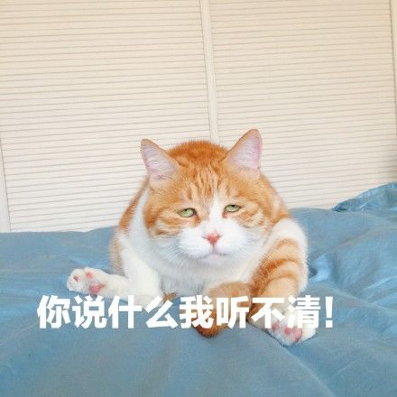 表情你在亲吻丧猫女人图片下载|女人你在玩动态qq玩火图片表情包图片