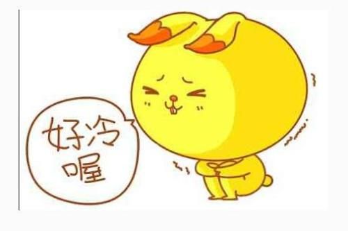 天气降温了好冷图片图片下载|猫咪再见了好降温表情表情包天气图片