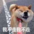 我不走我不走我要买这个表情包图片高清无水印 v1.