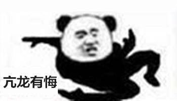 熊猫功夫表情包图片高清无水印 v1.