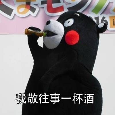 敬往事一杯酒表情包图片高清无水印 v1.